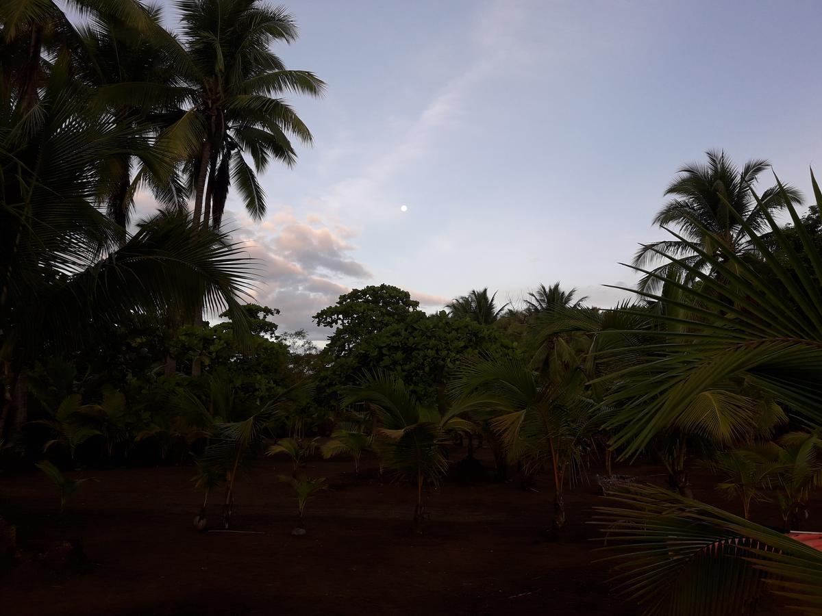 Hostal Pachamama Isla de Canas Esterno foto