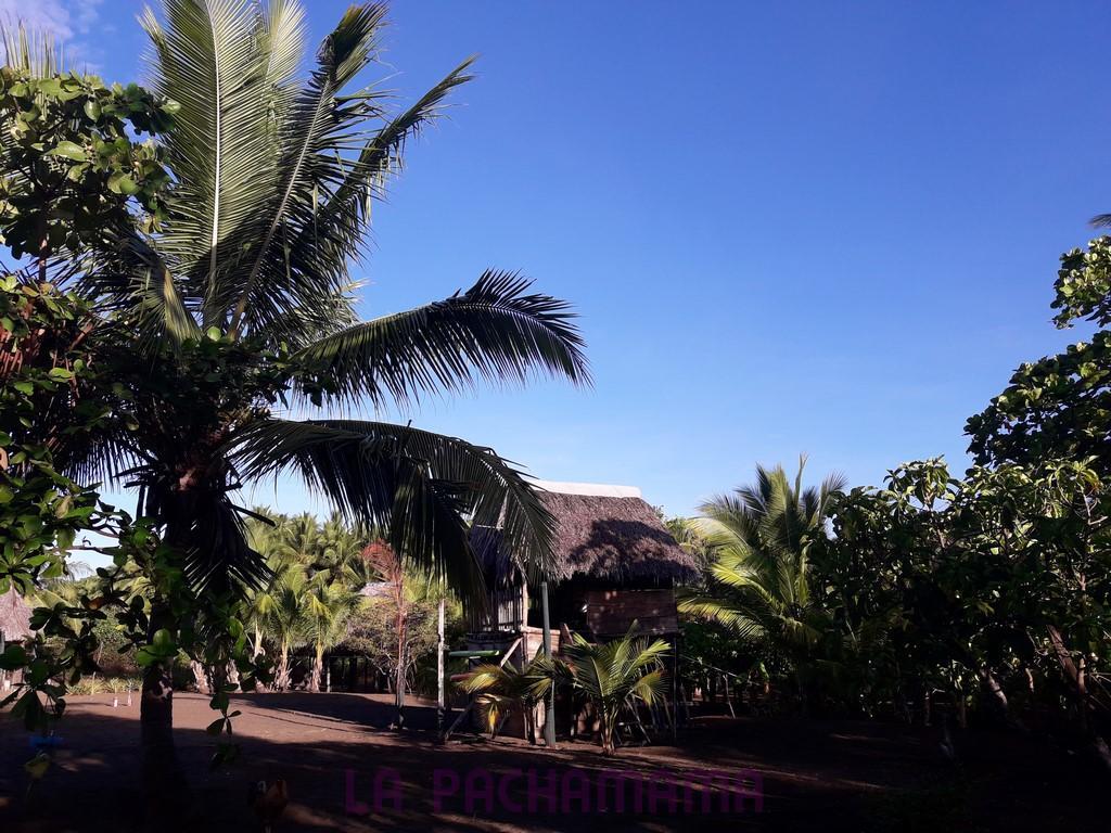 Hostal Pachamama Isla de Canas Esterno foto