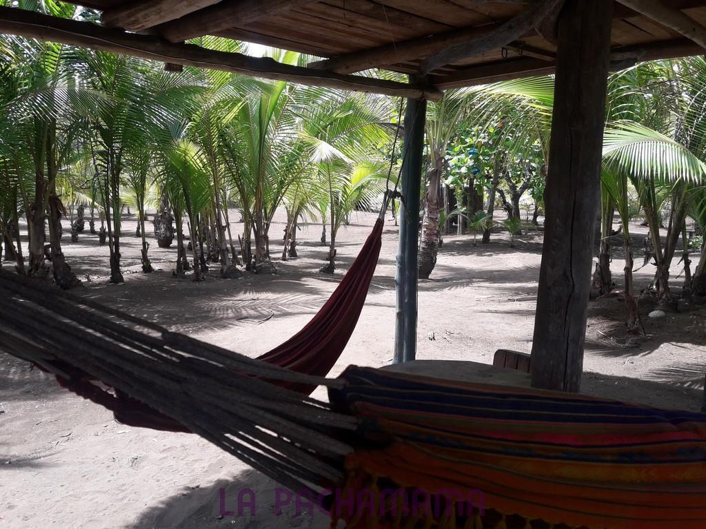 Hostal Pachamama Isla de Canas Esterno foto