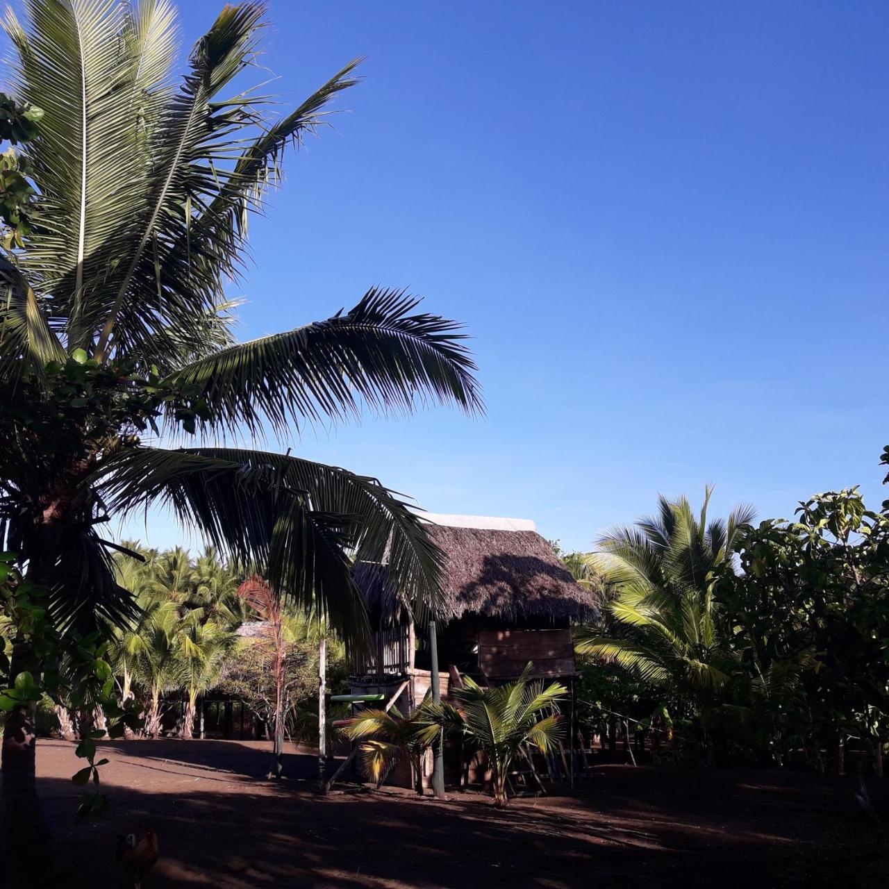 Hostal Pachamama Isla de Canas Esterno foto